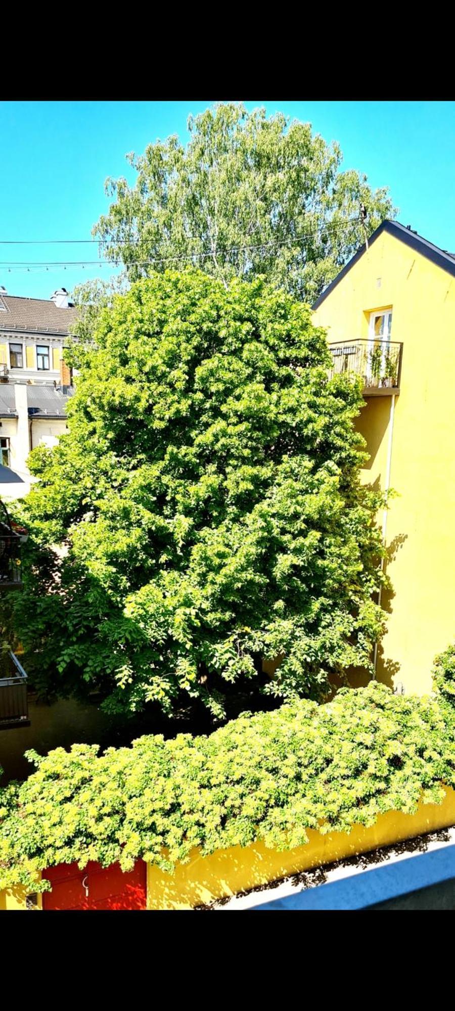 Modern Central Apartment Next To Beautiful Nature2424 Oslo Exteriör bild